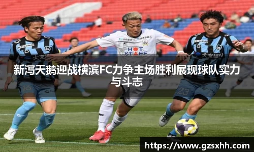 新泻天鹅迎战横滨FC力争主场胜利展现球队实力与斗志