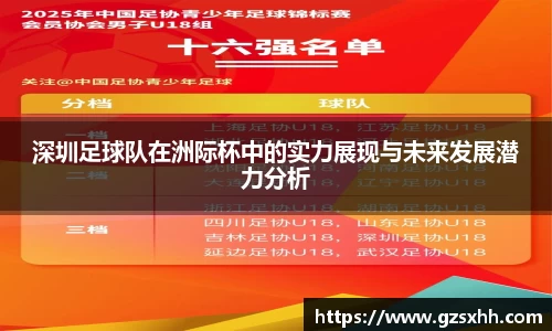 深圳足球队在洲际杯中的实力展现与未来发展潜力分析