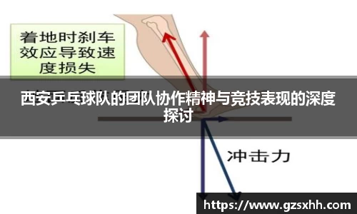 西安乒乓球队的团队协作精神与竞技表现的深度探讨