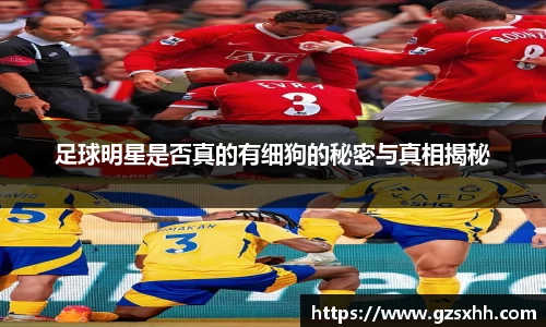 足球明星是否真的有细狗的秘密与真相揭秘